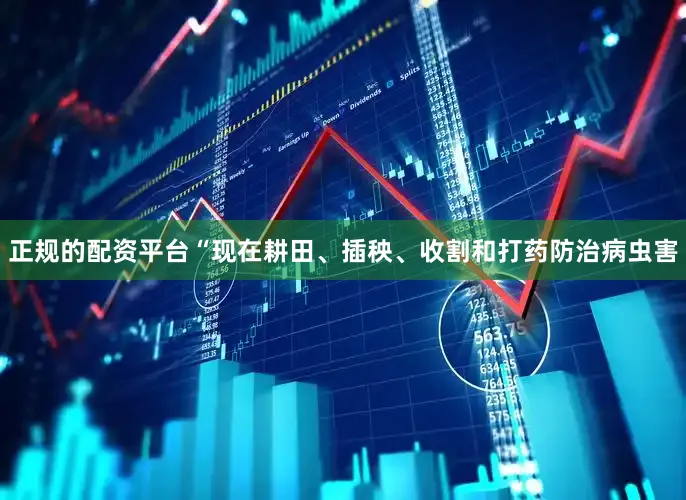 正规的配资平台“现在耕田、插秧、收割和打药防治病虫害