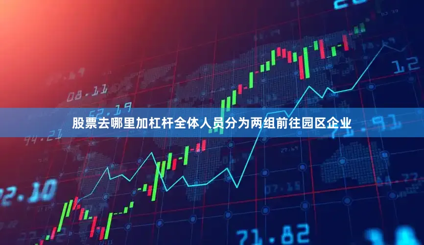 股票去哪里加杠杆全体人员分为两组前往园区企业