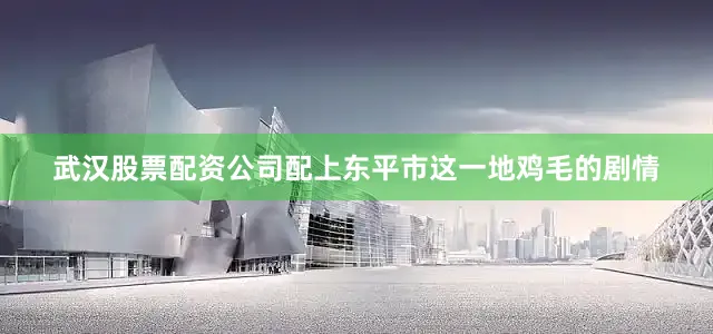 武汉股票配资公司配上东平市这一地鸡毛的剧情