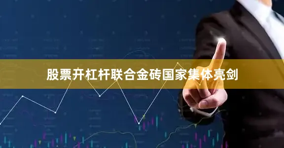 股票开杠杆联合金砖国家集体亮剑