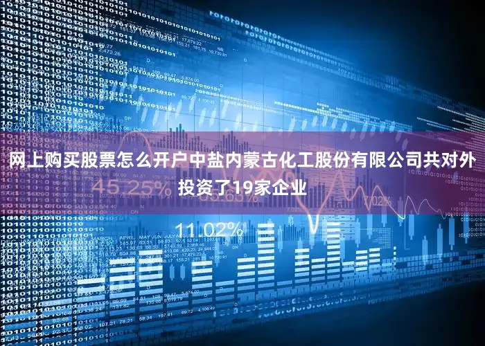 网上购买股票怎么开户中盐内蒙古化工股份有限公司共对外投资了19家企业
